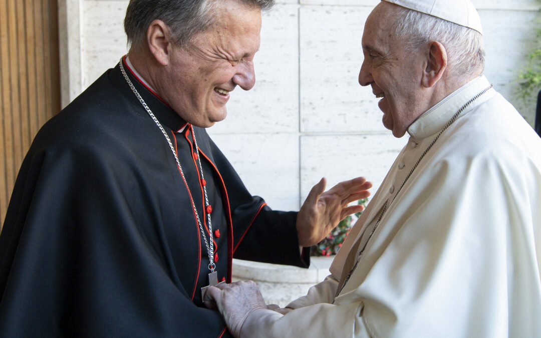 Communion, Participation, Mission: An Interview with Cardinal Mario Grech
