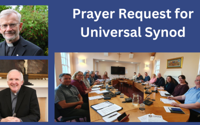 Prayer Request and National Synodal Team Members Announced