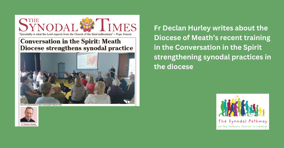Meath Dicoese Synodal Practice