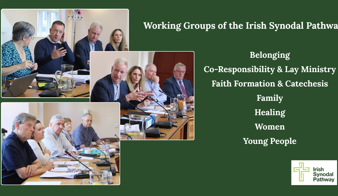 Working Groups of the Irish Synodal Pathway