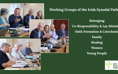 Working Groups of the Irish Synodal Pathway